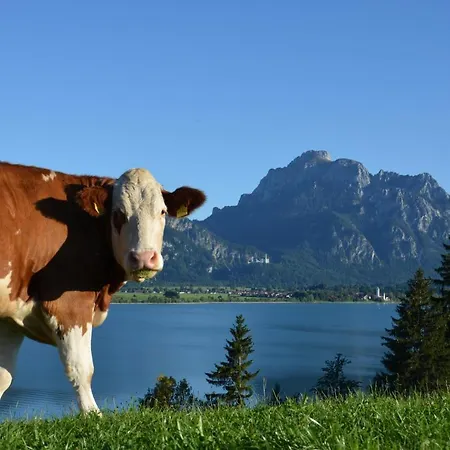 Salenberghof Traumblick Apartment Rieden am Forggensee