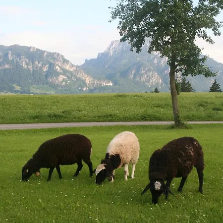 Apartamento Salenberghof Traumblick *